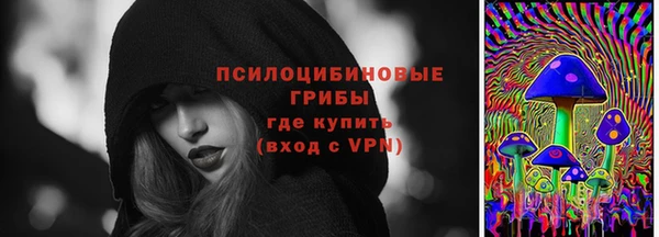 шишки Белоозёрский