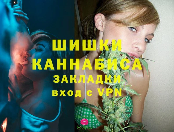 ГАЛЛЮЦИНОГЕННЫЕ ГРИБЫ Беломорск