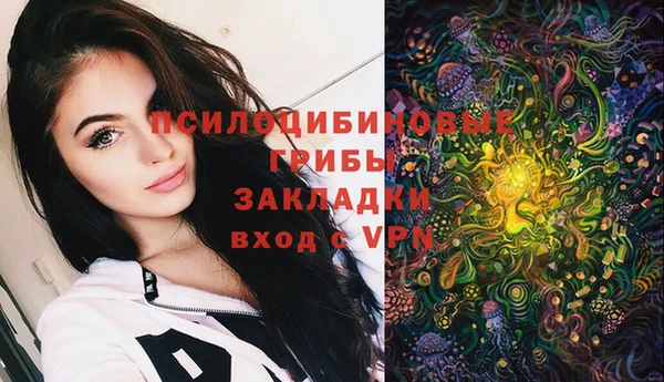шишки Белоозёрский