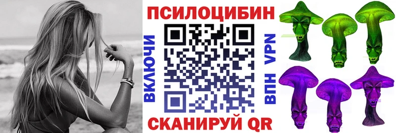 Купить  Кудымкар  Галлюциногенные грибы Psilocybine cubensis 